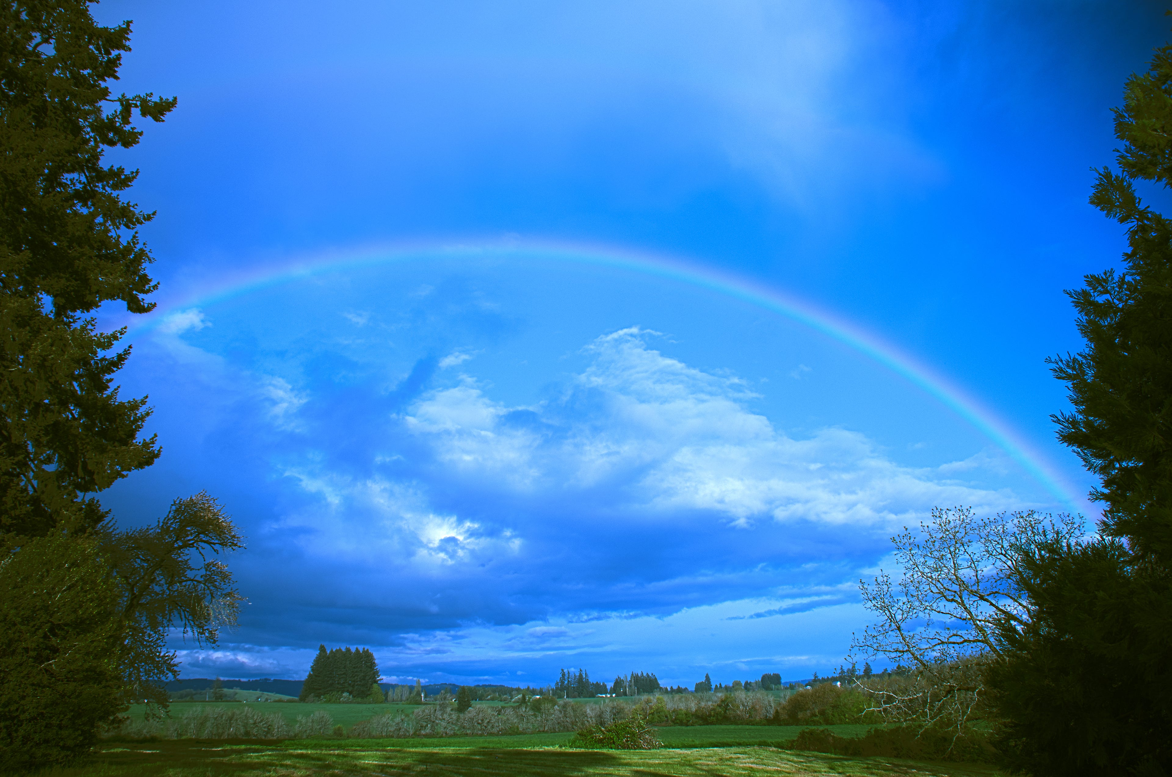 The "backyard" of the farmhouse in Dallas